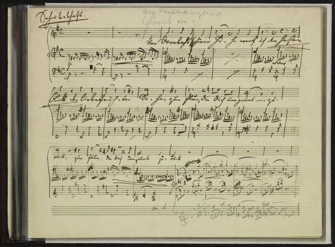 Nos.1, 2, 5, 6, and 8