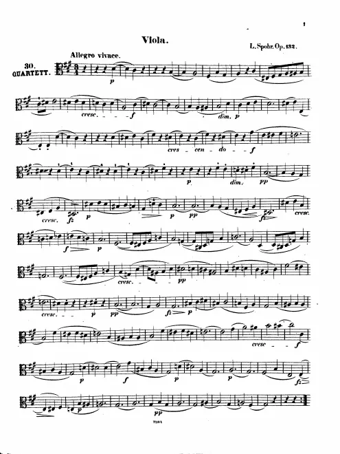 Viola