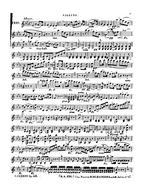 Violin