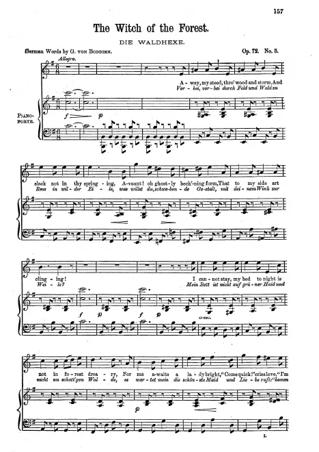 3. Die Waldhexe