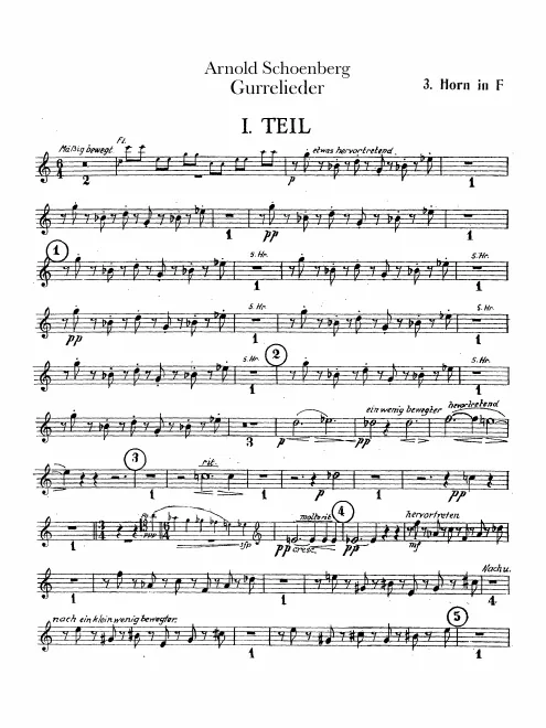 Horn 3 (F)