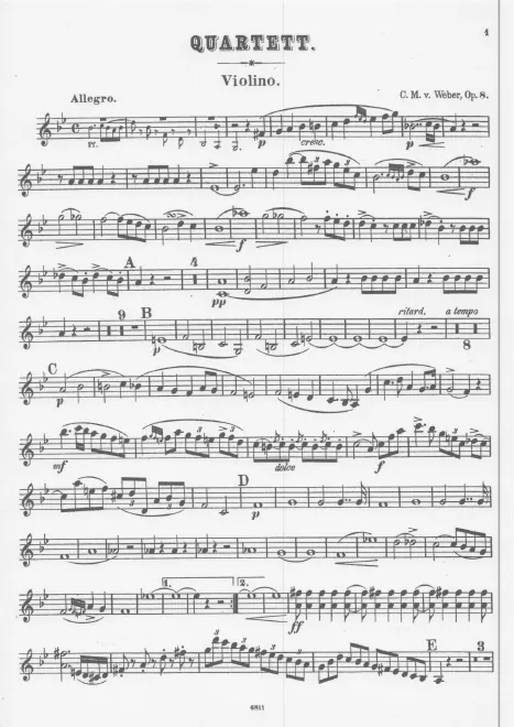 Violin
