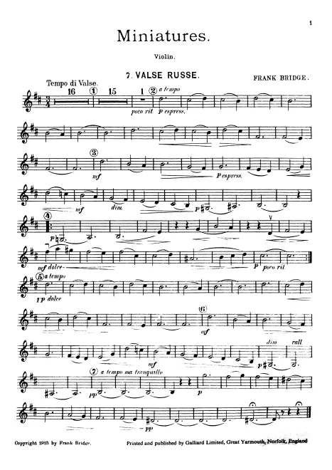 Violin
