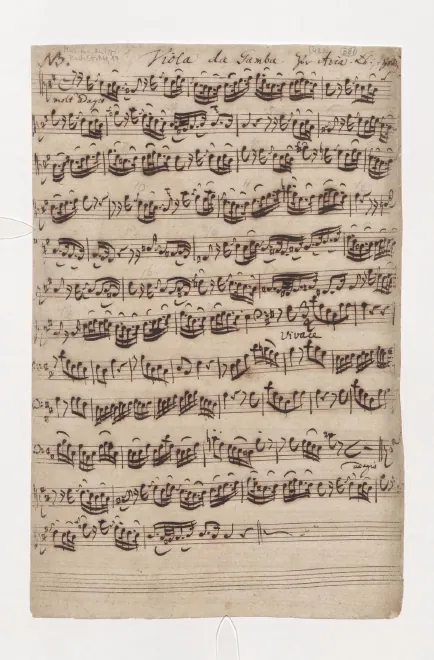 Viola da gamba (No.30), Organ (No.19)