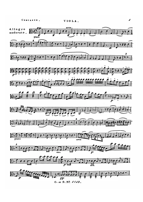 Viola