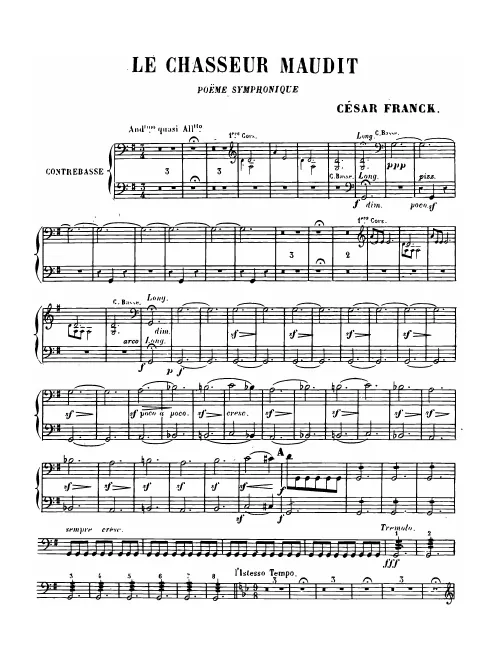Double Basses
