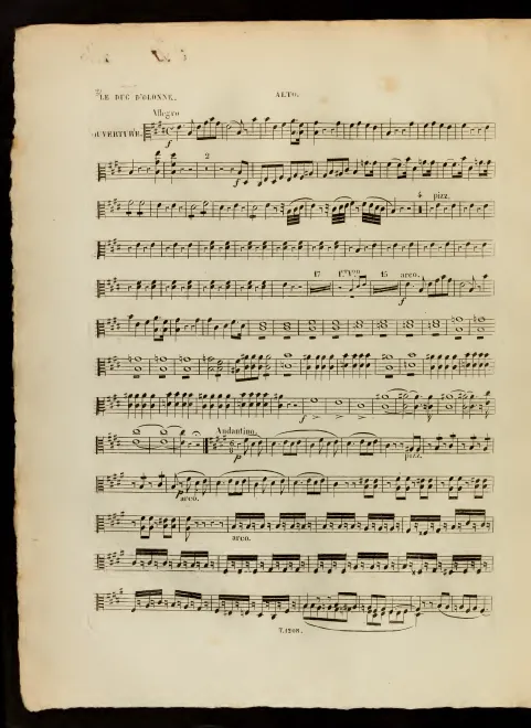 Violas