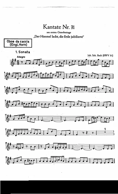 Oboe da caccia (or English Horn)