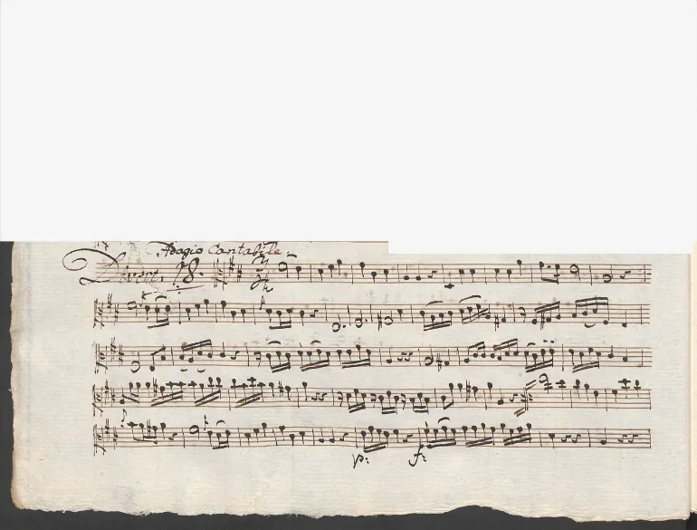 Viola