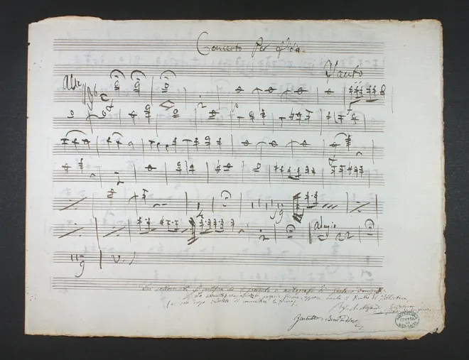 Flute