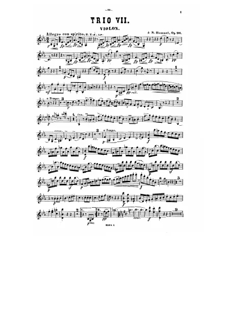 Violin