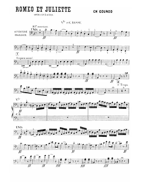Cellos/Basses