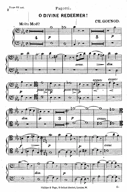 Bassoon 1/2