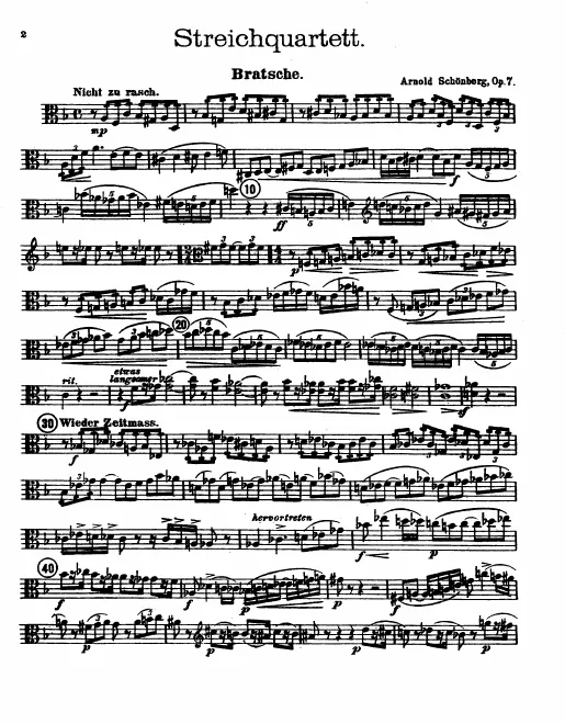 Viola