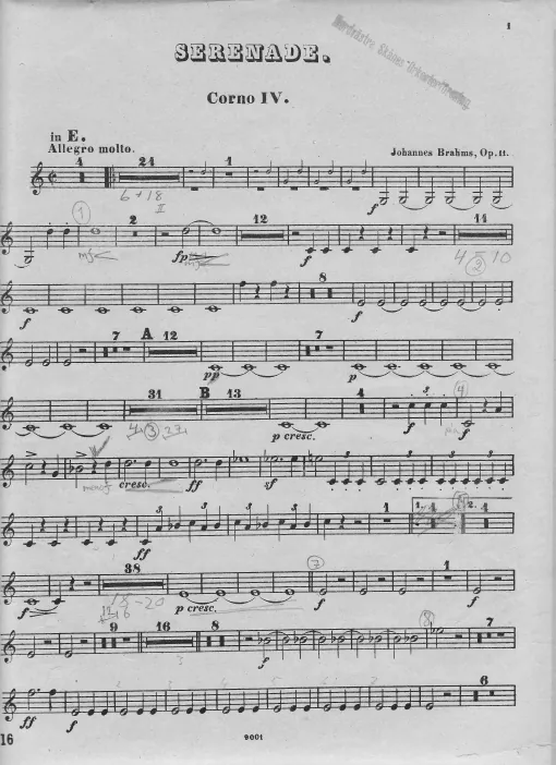 Horn 4 (E/B♭)