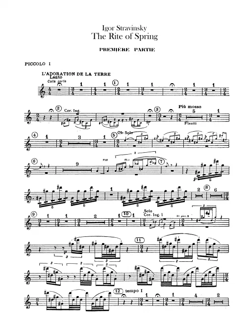 Piccolo 1