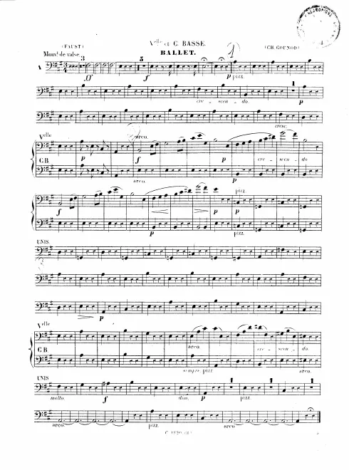 Cellos/Basses