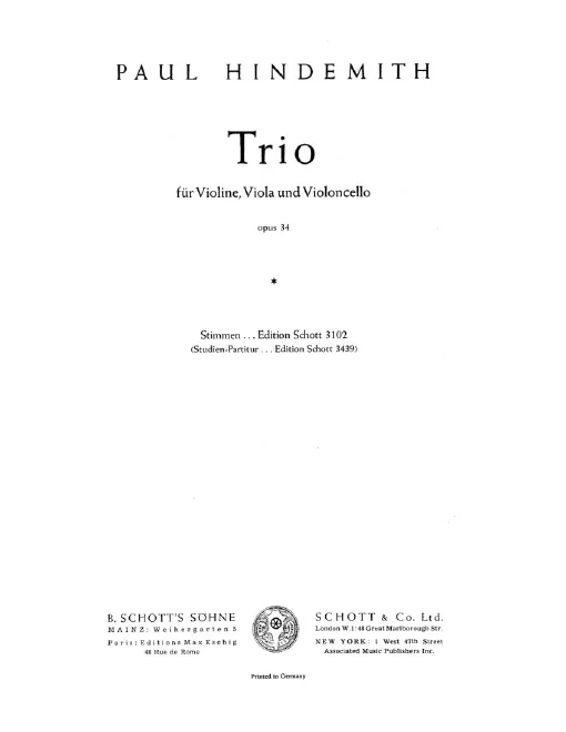 Violin