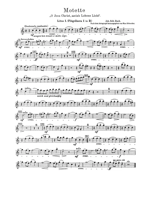 Flugelhorn 1, 2 (B♭)