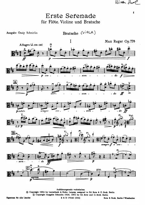 Viola