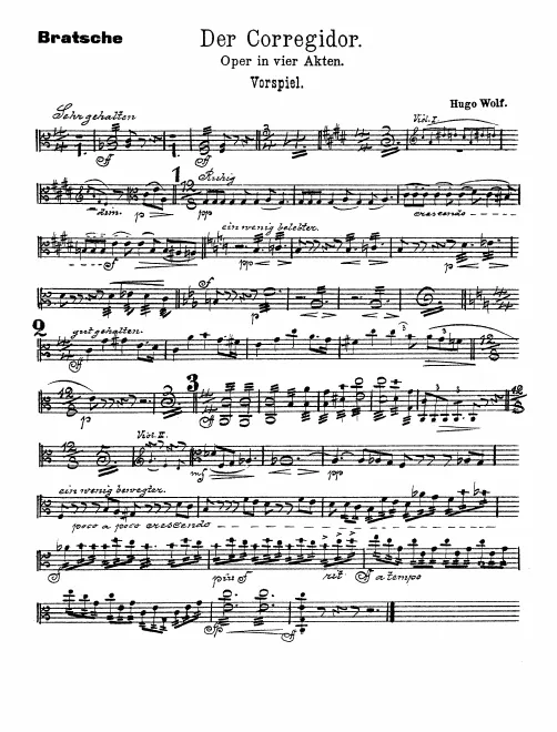 Violas