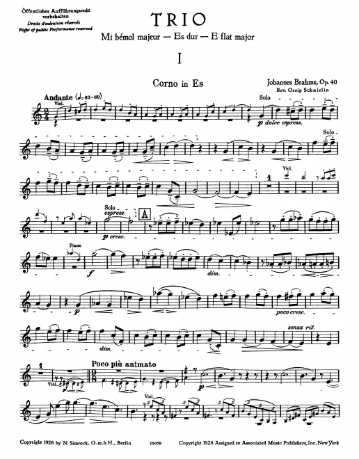 Horn