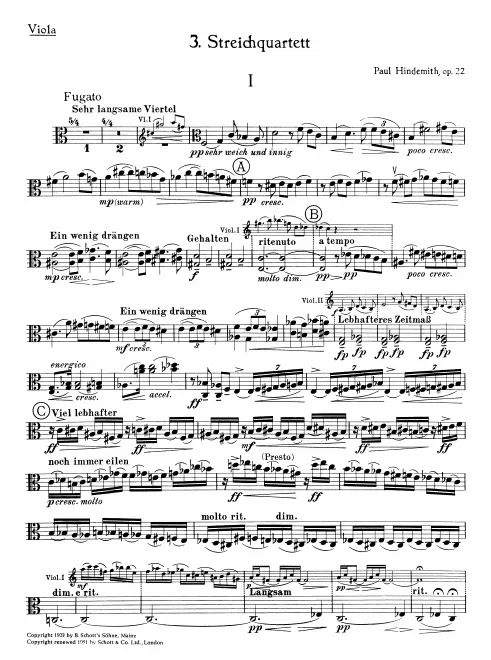 Viola