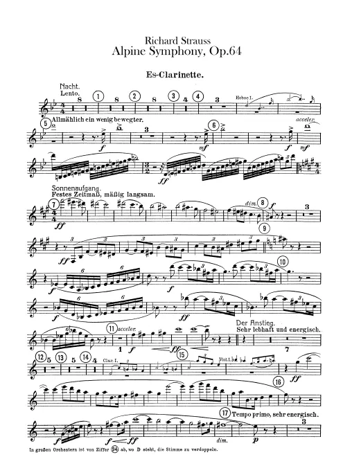 Piccolo Clarinet (E♭)