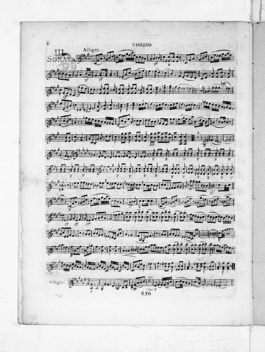 Violin