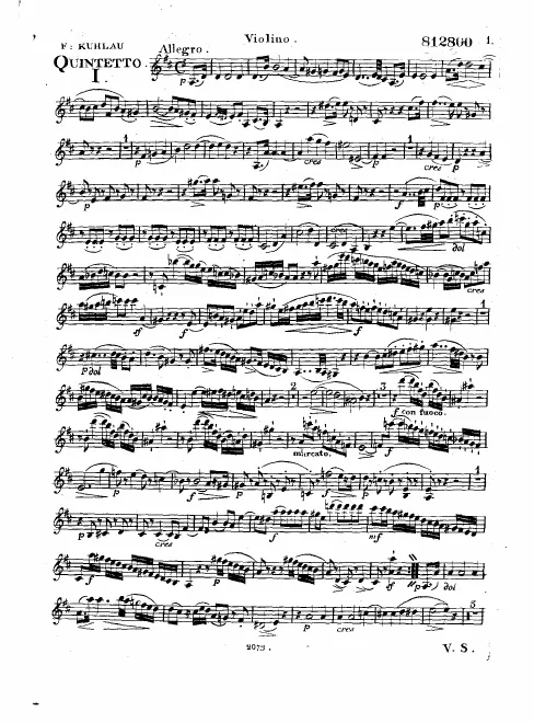 Violin