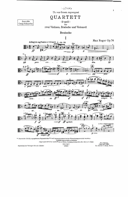 Viola