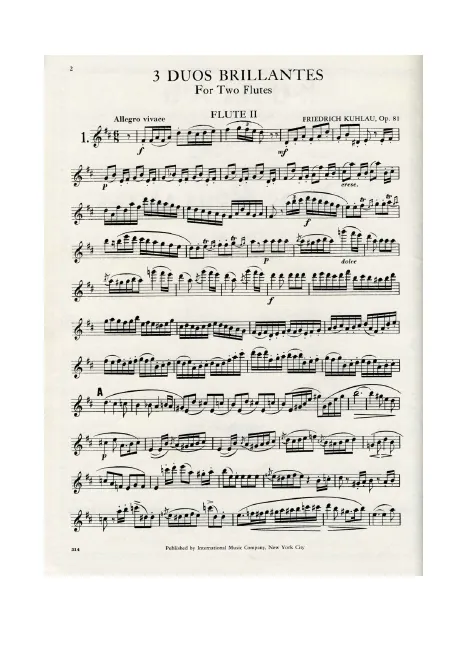Flute 2