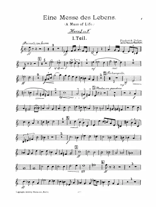 Horn 1 (F/E/E)