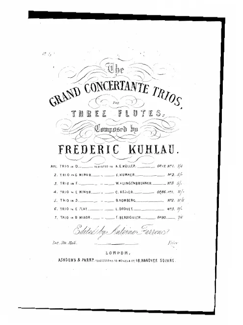 Flute 2