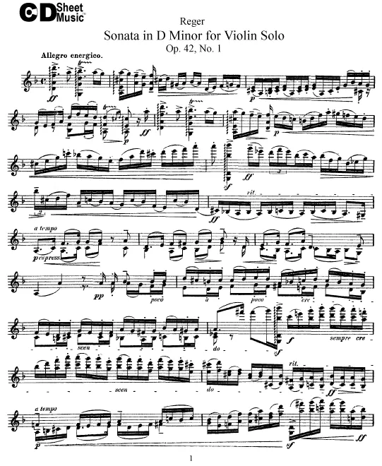 Sonata No.1 in D minor