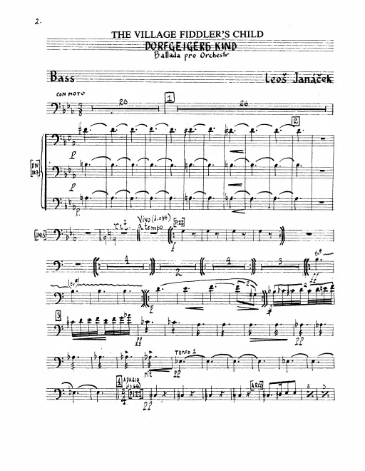 Basses