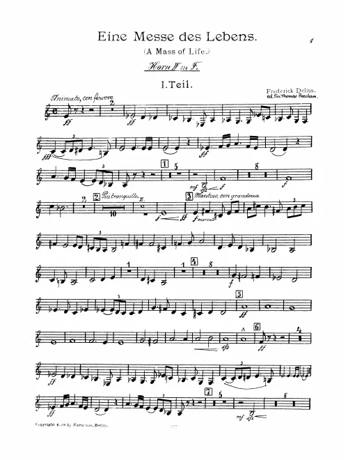 Horn 4 (F/E/E)