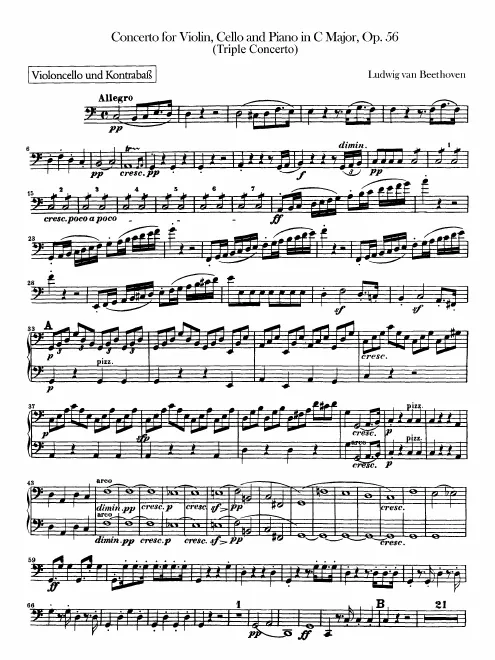 Cellos and Basses