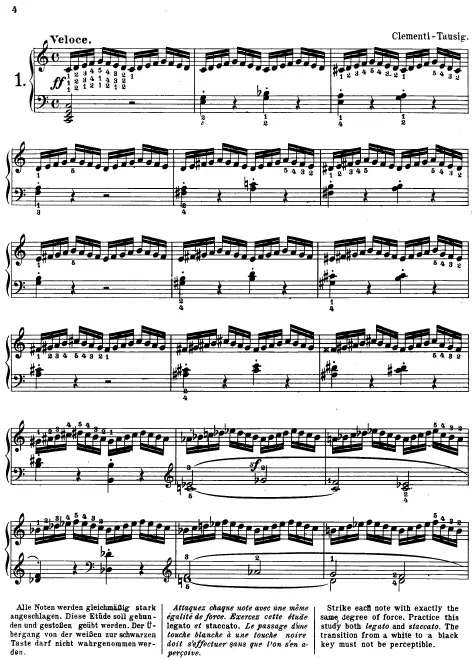 Complete Score (29 Selected Studies)