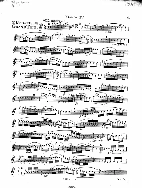 Flute 2