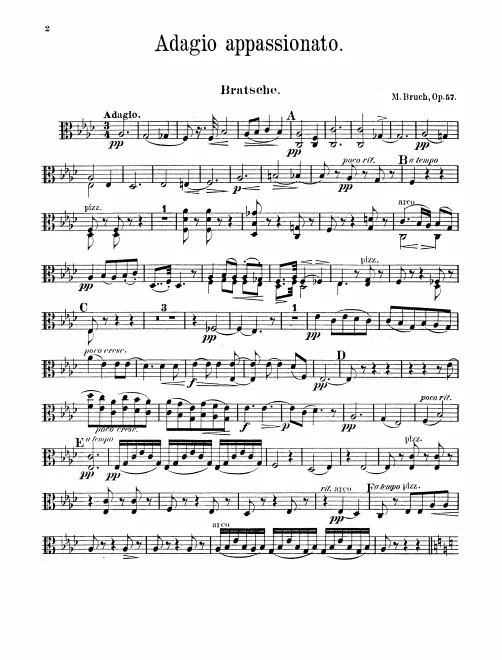 Violas