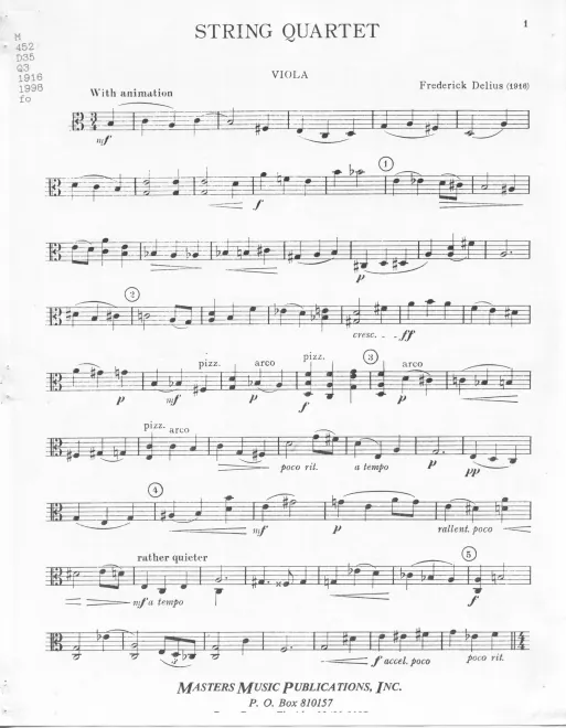 Viola
