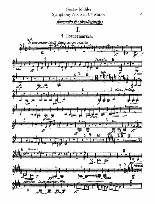 Clarinet 3 (A/B♭/C)/Piccolo Clarinet (D)/Bass Clarinet (B♭)