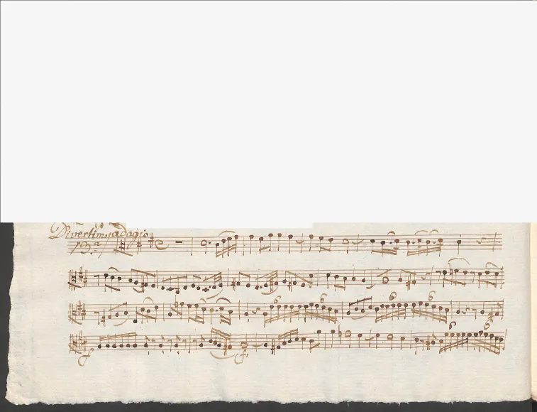 Viola