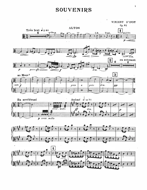 Violas