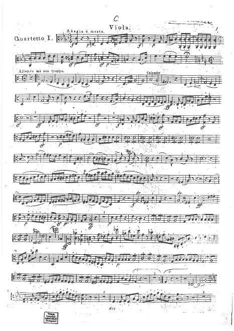 Viola