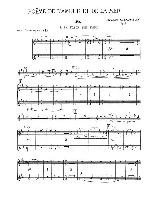Horn 1/2 (F)