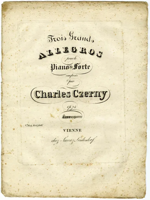 3. Allegro vivo passionato