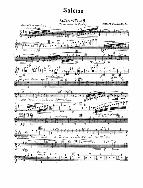 Clarinet 1 (A/B♭)
