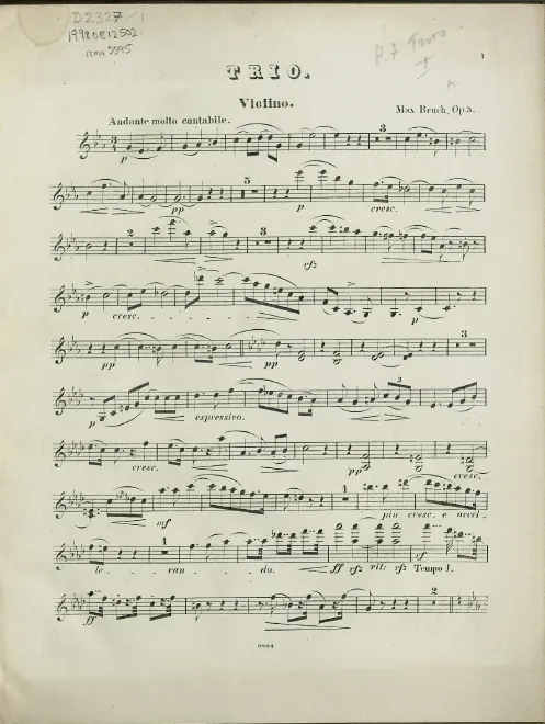 Violin